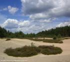 Geotouren geologische Besonderheiten im Amberg-Sulzbacher Land entdecken